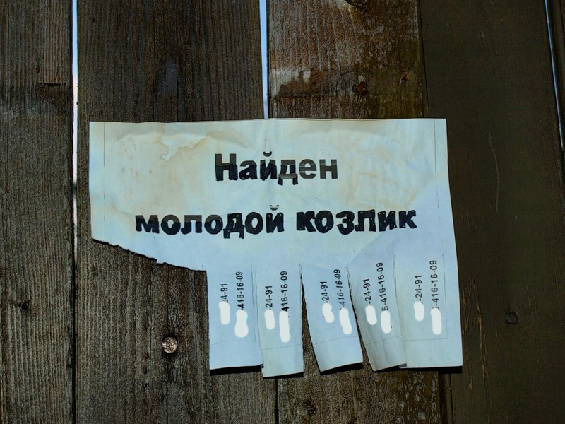 Жители Брянской области все чаще теряют деньги на сайтах объявлений