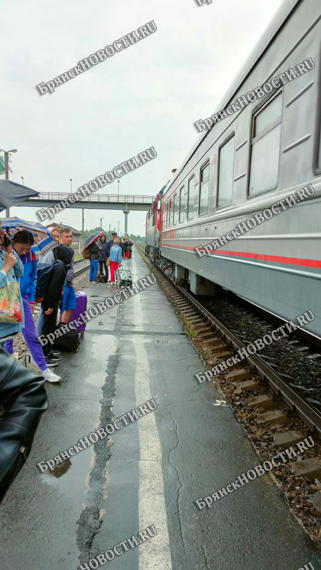 Орджоникидзеград брянск жуковка расписание. Жуковский на электричке. Электричка Орджоникидзеград Сельцо. Электричка Брянск Орловский Сельцо. Электричка Сельцо Брянск.