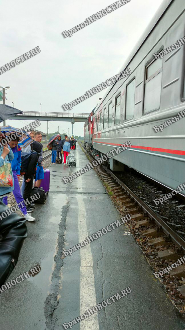 Электронные путевки войдут в практику