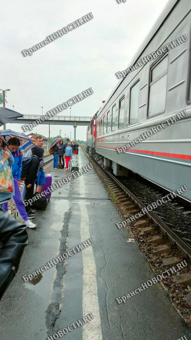 Пригородные поезда Жуковского направления в Брянской области меняют график