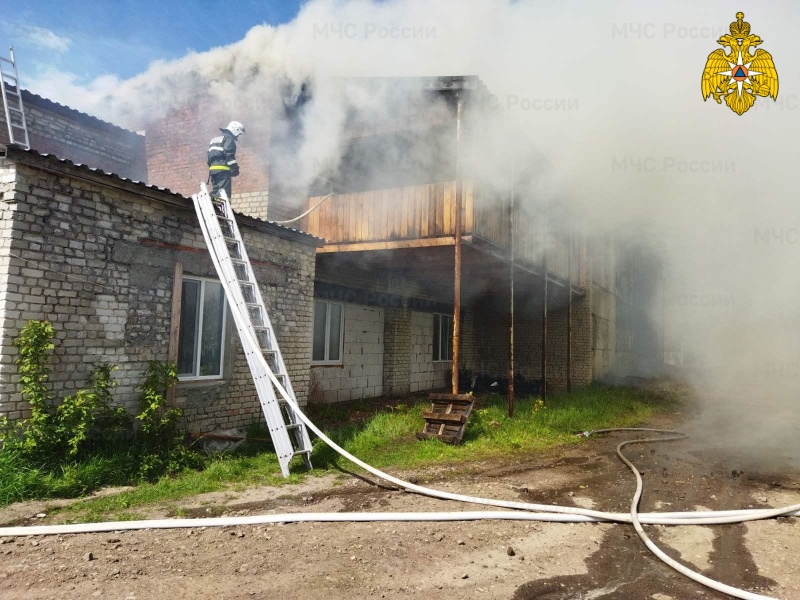 Пилорама сгорела в Дубровском районе