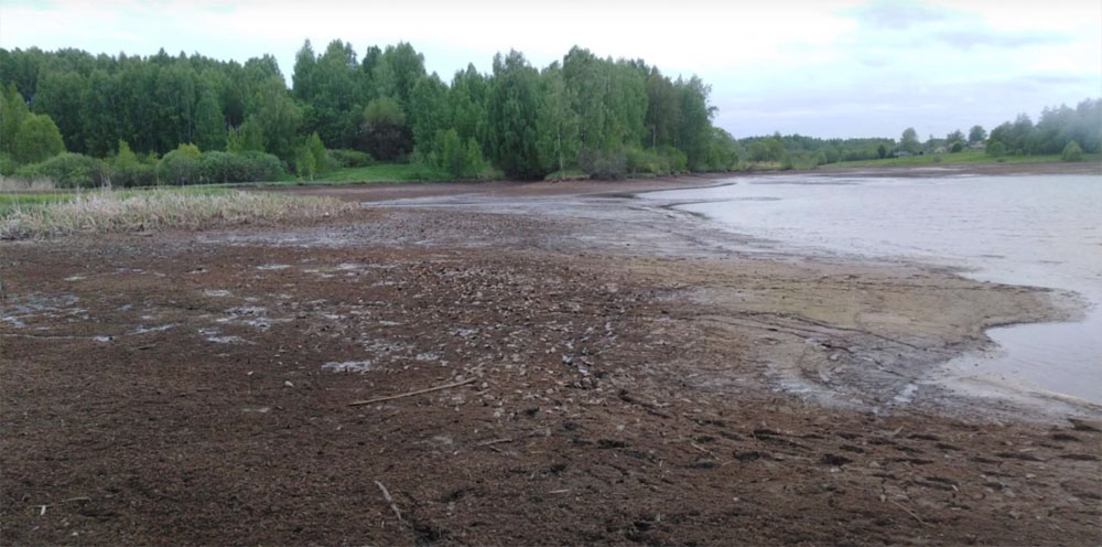 В Жуковском районе озеро оказалось на грани вымирания
