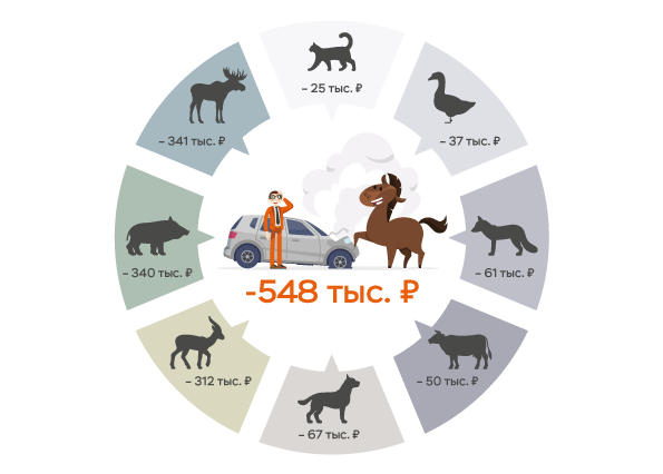 Цена встречи автомобилиста на дороге с лосем, собакой или кабаном
