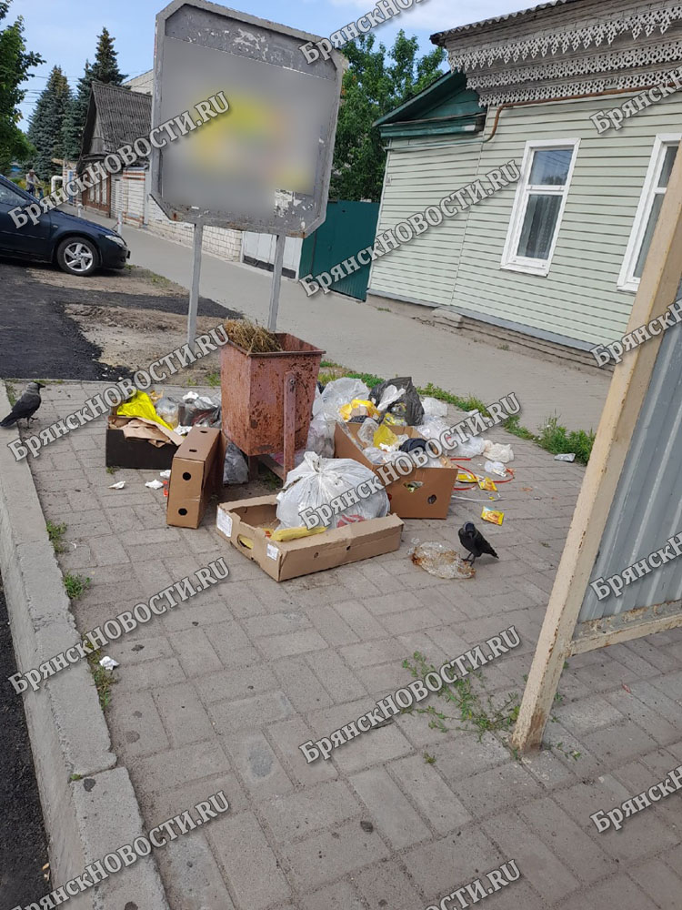 «Планово-регулируемый график» вывоза мусора в Новозыбкове не работает