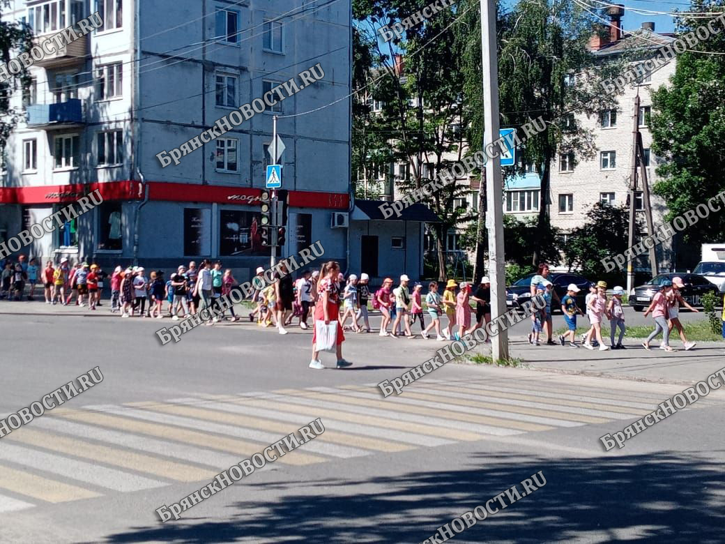 Три пособия увеличены в Брянской области