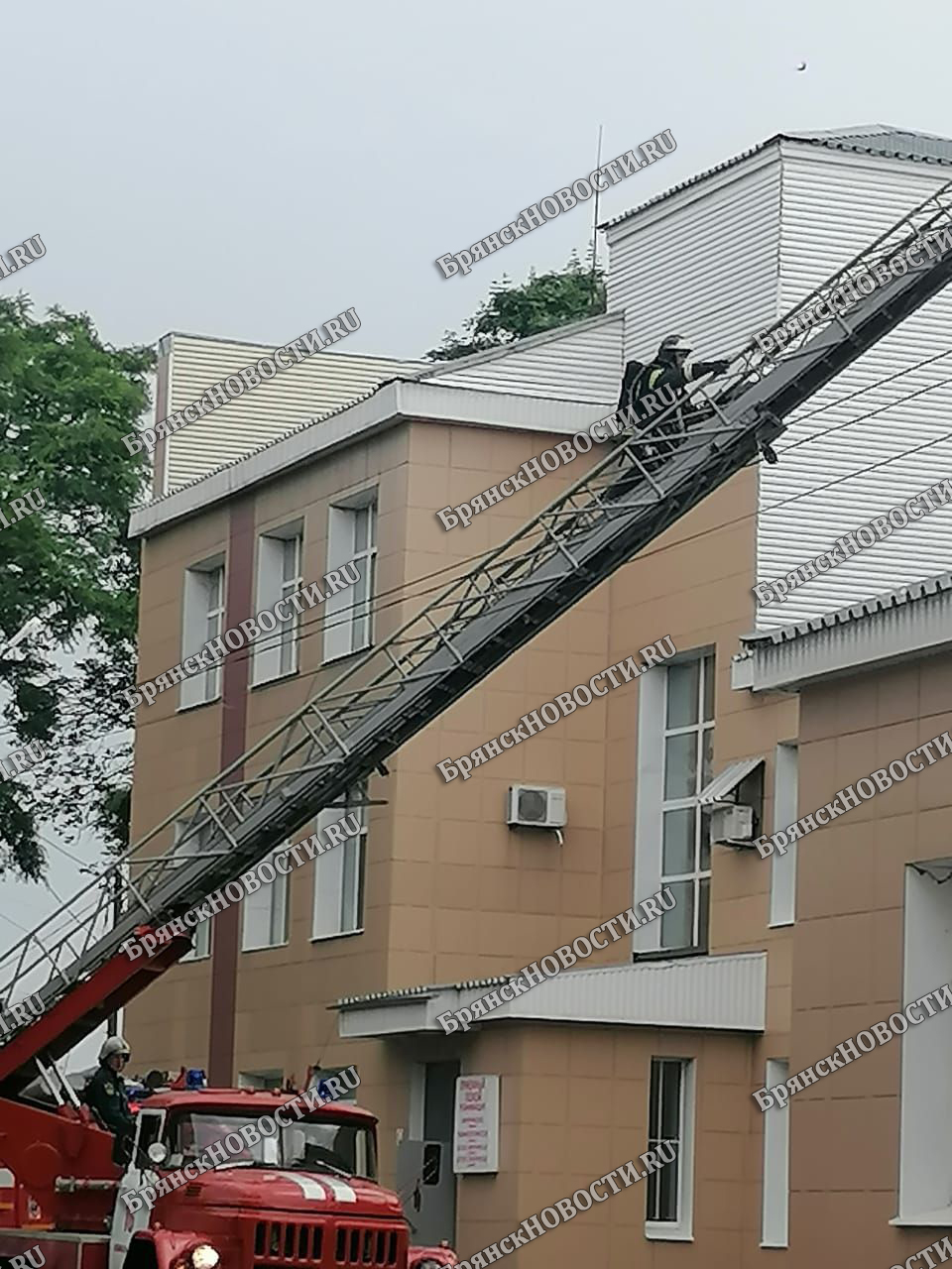 Огнеборцы поднимаются по пожарной лестнице на здание Новозыбковской ЦРБ