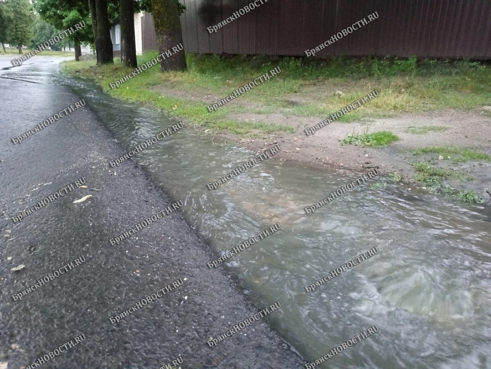 Сильный дождь в Новозыбкове вывел городскую канализацию на поверхность