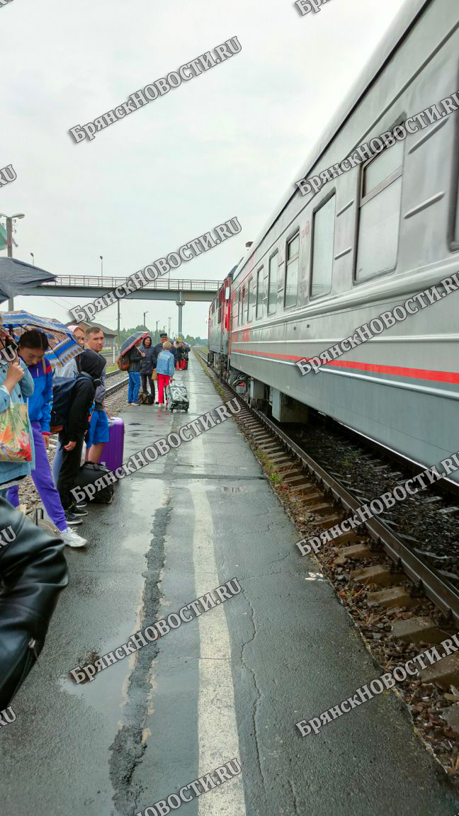 В праздничные дни июня в Брянской области изменится расписание пригородных поездов