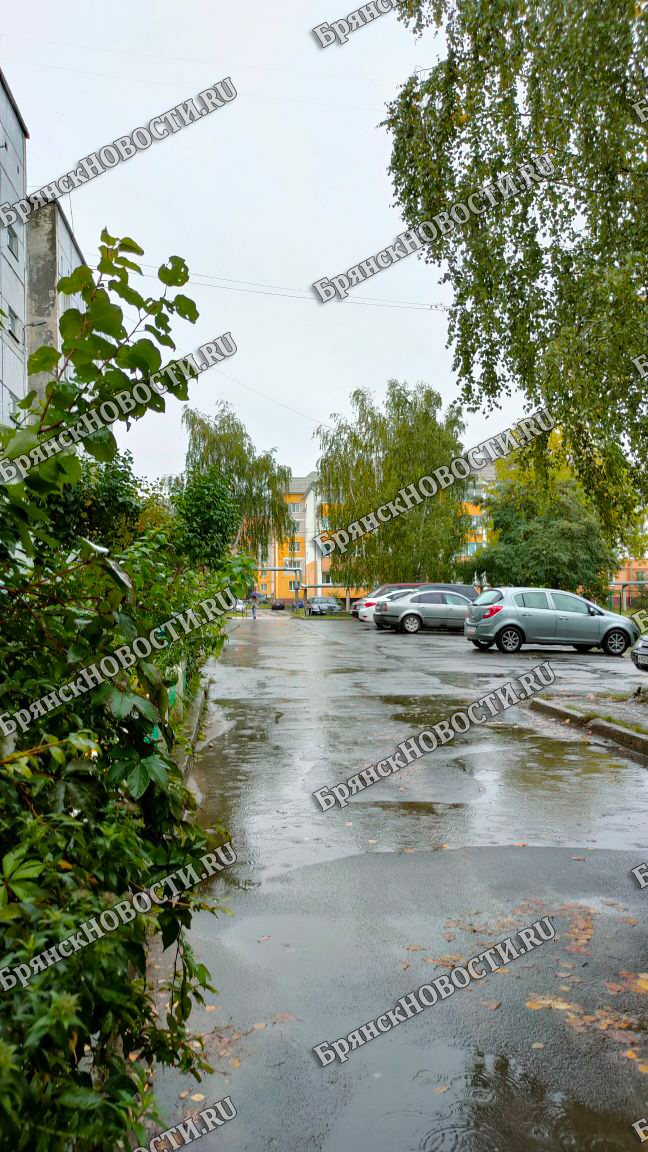 Жителей Брянской области предупредили о кратковременных дождях с грозами