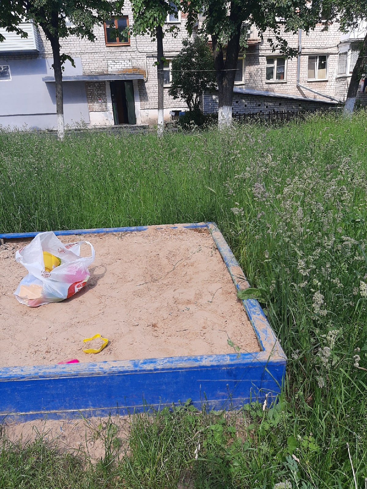 «Не ждите дядю» Клинчан призывают самостоятельно заняться покосом травы во дворах