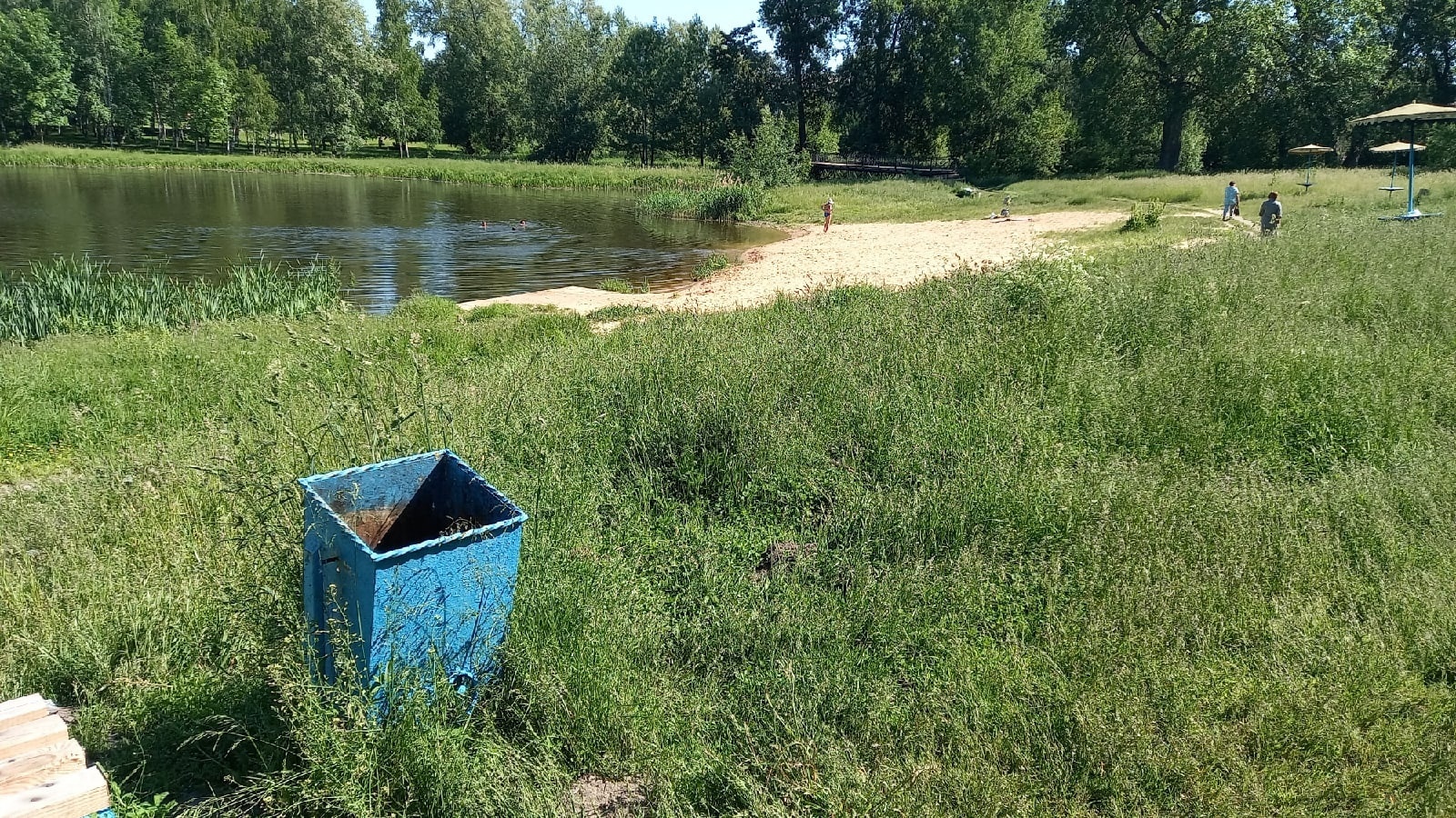 В Новозыбкове общественники убрали пляж, а власти отчитались | 18.06.2022 |  Брянск - БезФормата