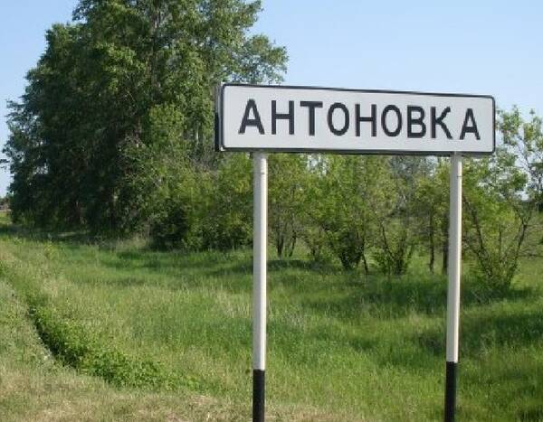 В поселке Антоновка власти Брянска обязали установить остановочный пункт