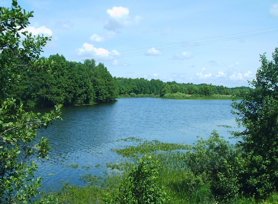 Озера брянской области