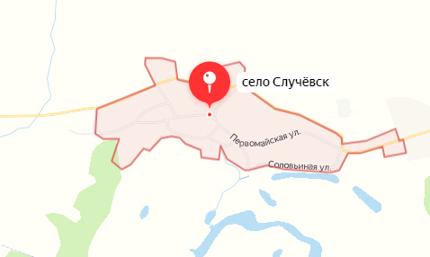 Беспилотник пытался трижды нанести удар по селу Случевск в Брянской области