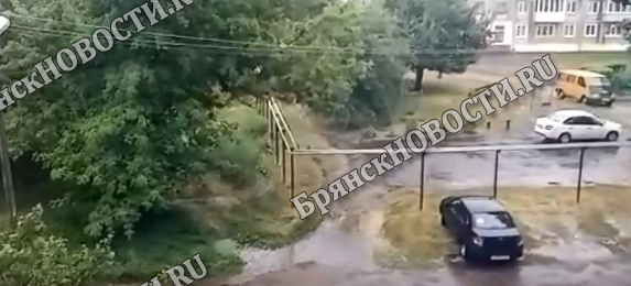 Жители Новозыбкова поделились июньским дождём