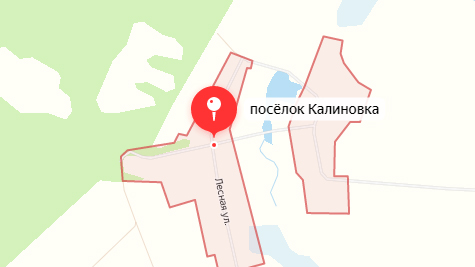 На территории предприятия в Новозыбковском районе произошел пожар