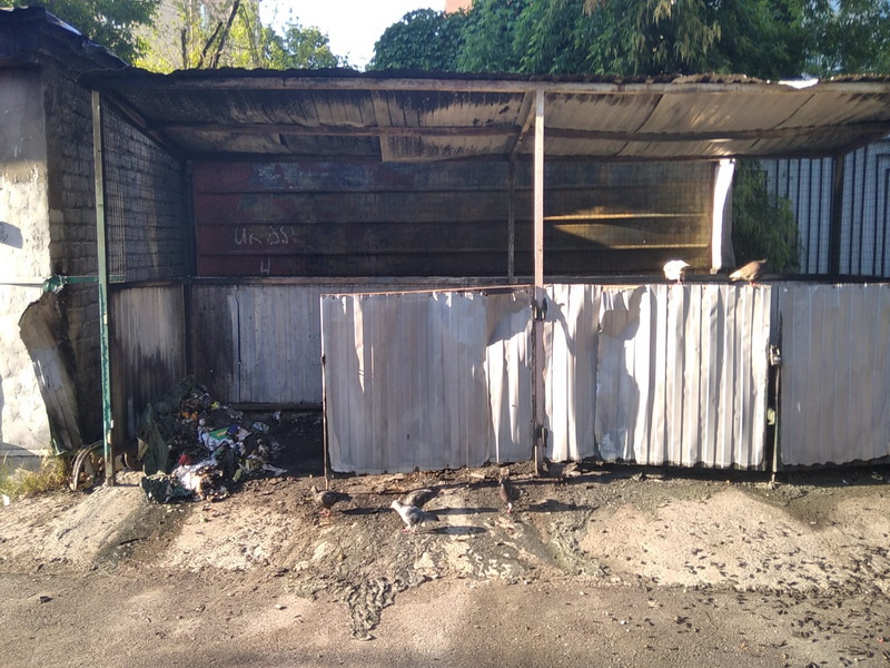 Площадка для сбора мусора уничтожена поджигателями в Брянске