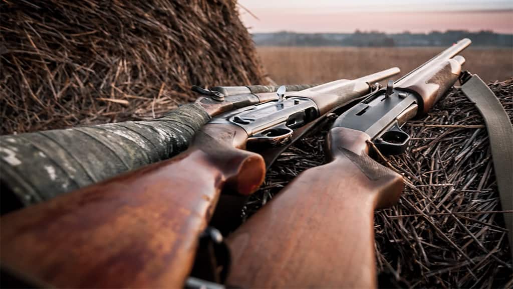 Брянские охотники смогут брать ружья и патроны к ним у знакомых или арендовать их в охотхозяйствах