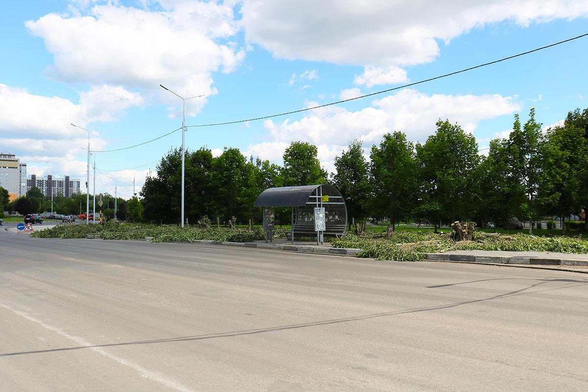 На улице Крахмалева в Брянске во время ремонта дороги вырубили часть деревьев
