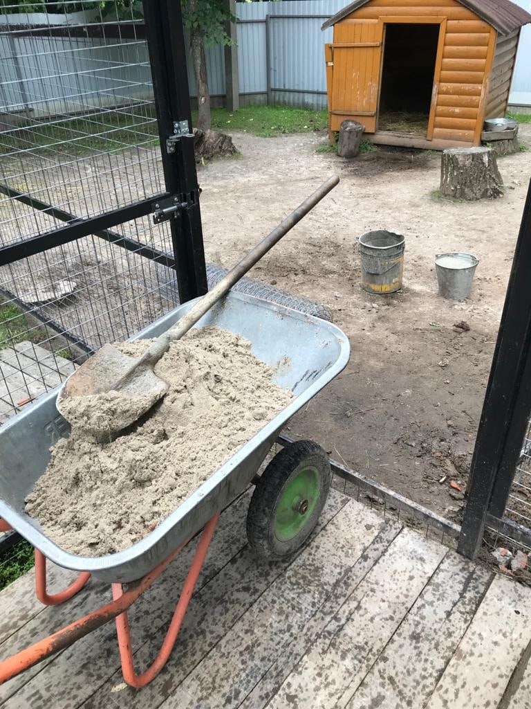 В зоопарке Брянске готовят новый вольер – сюда прибывает мунтжак