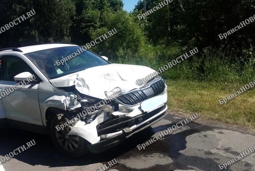 Разбиты два автомобиля на трассе под Новозыбковом