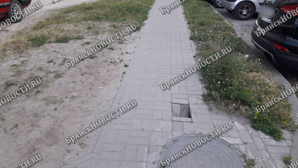 Возле детского сада «Деснянские звездочки» в Брянске на тротуаре образовался провал