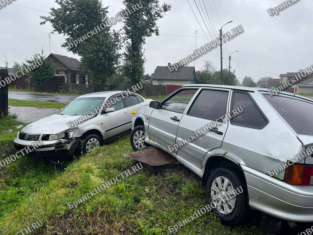 На мокрой дороге по улице Рошаля в Новозыбкове произошла авария