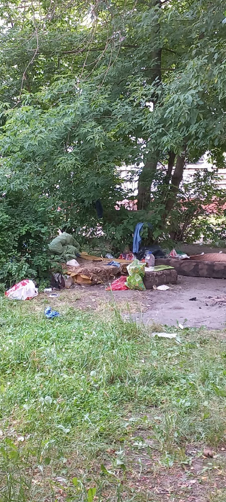 Бездомные обосновались во дворе многоэтажки в Брянске