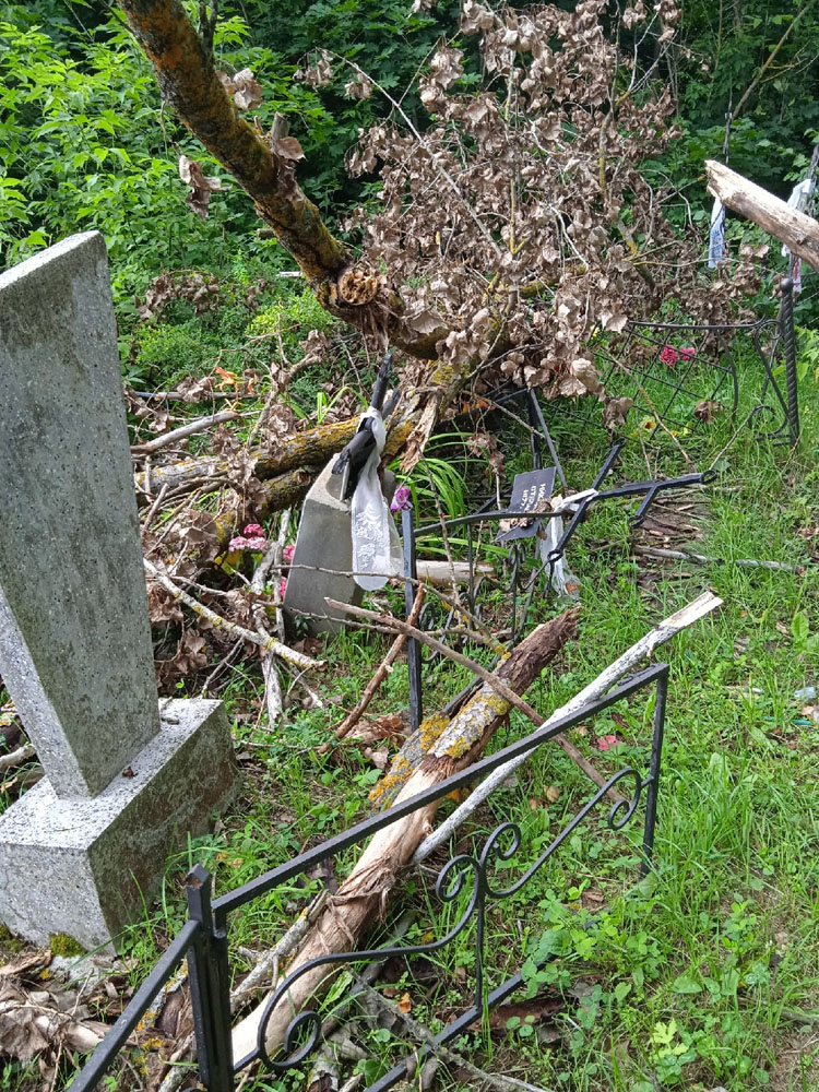 На кладбище хутора Погарского района аварийные деревья повредили надгробия