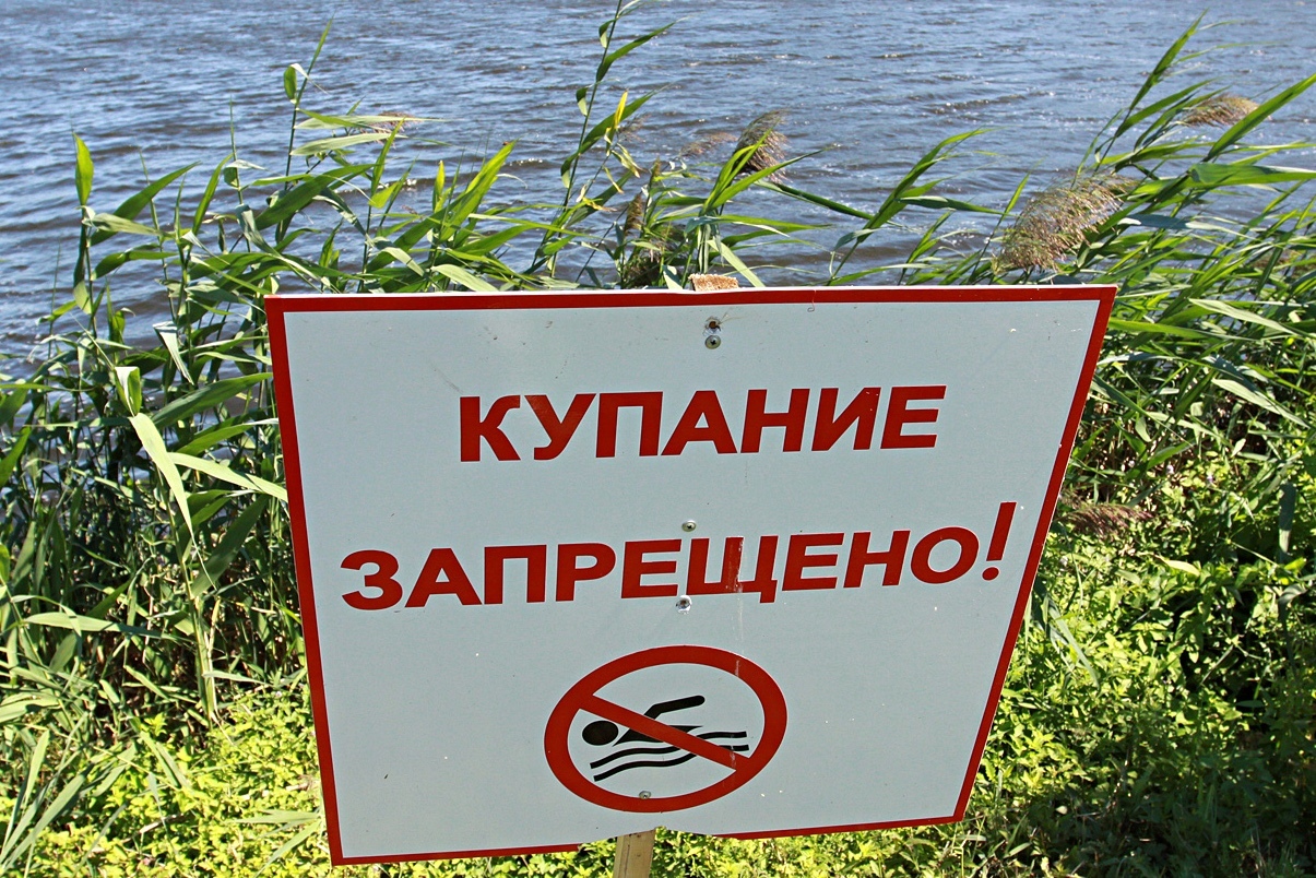 Все пляжи Брянска попали в «черный список» Роспотребнадзора – купание в столице региона запрещено