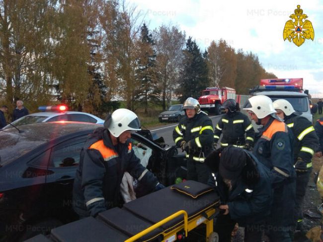 Погубившей семерых в аварии в Брянском районе дали 4,5 года