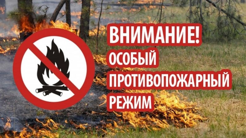 В лесах Брянской области снова введен особый противопожарный режим