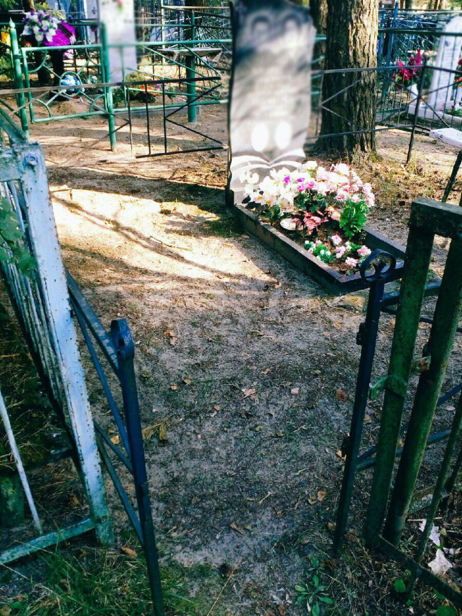 На кладбище в Брянске заметили массовое исчезновение калиток от оград