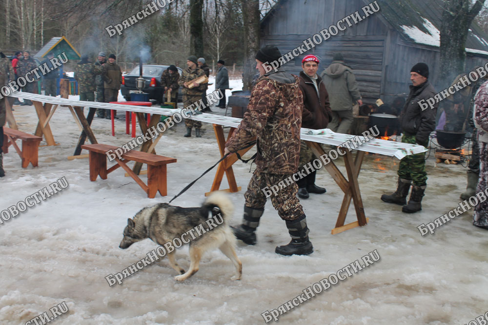В Новозыбковском округе от бешенства привили почти шесть тысяч животных