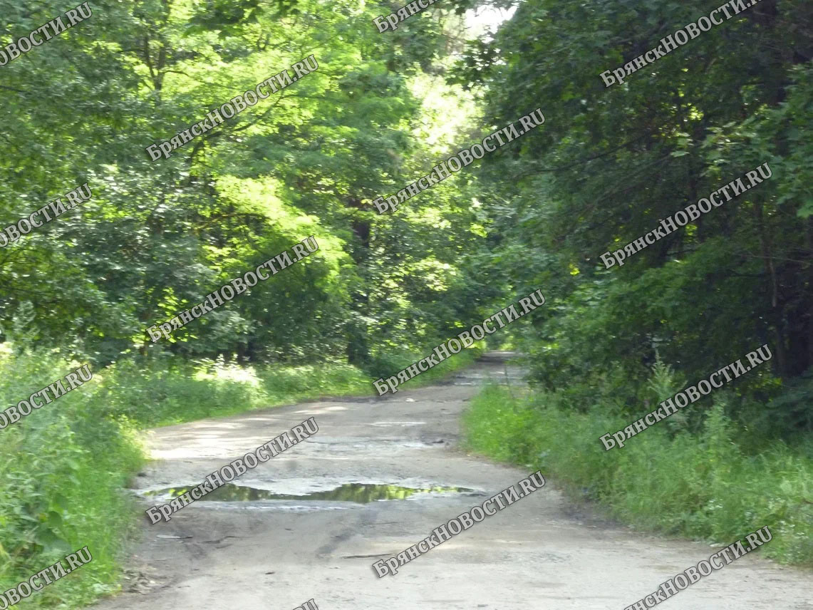 Дорога под Новозыбковом: «Невыносимо ездить, по простому ее нет вообще»