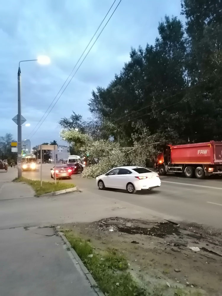 Самосвал завалил дерево около остановки «Северная» в Брянске