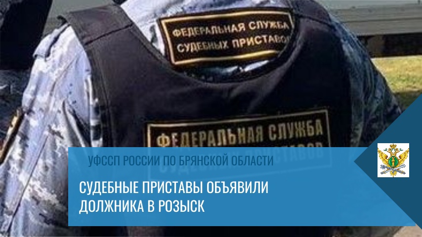 Безработный житель Брянска после ареста автомобиля выплатил долг в полмиллиона рублей