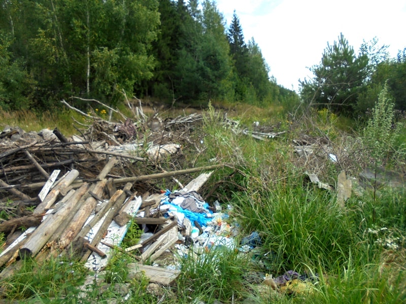 В Дубровском районе вред землям от свалки оценили в 640 тысяч рублей