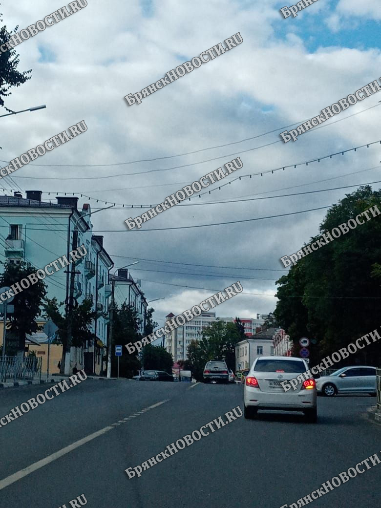 Дожди в Брянской области