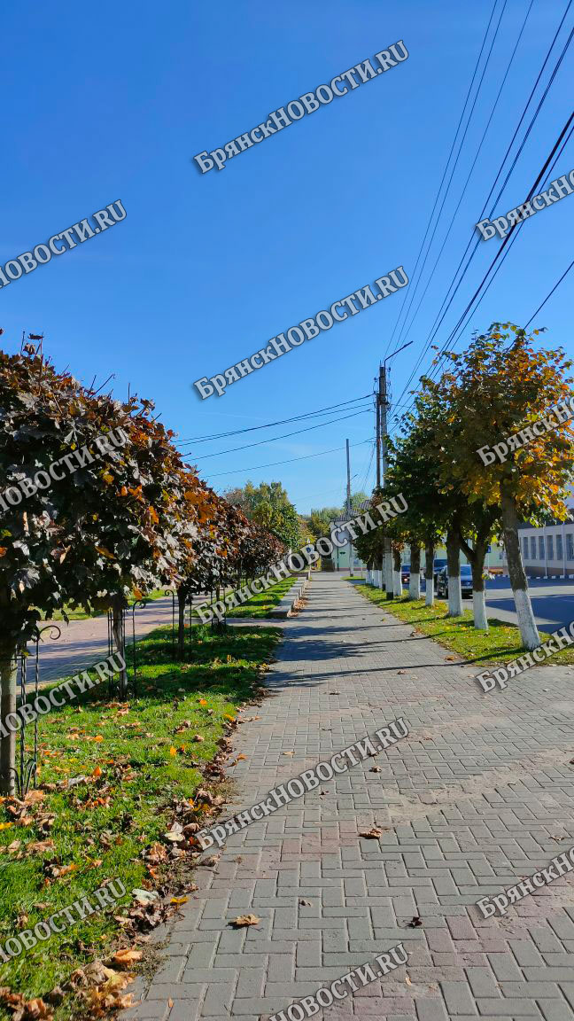 Новозыбков по примеру Брянска отказался от празднования Дня города