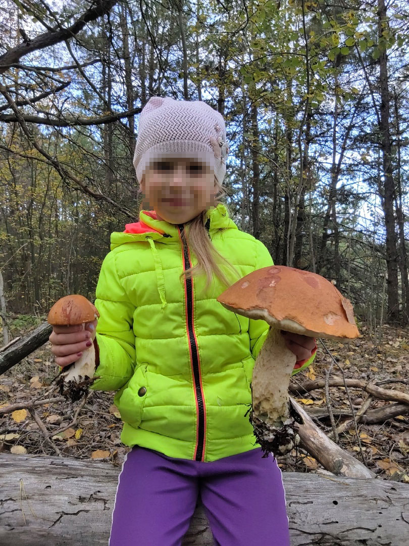 Юная жительница Брянщины нашла в лесу гриб-богатырь