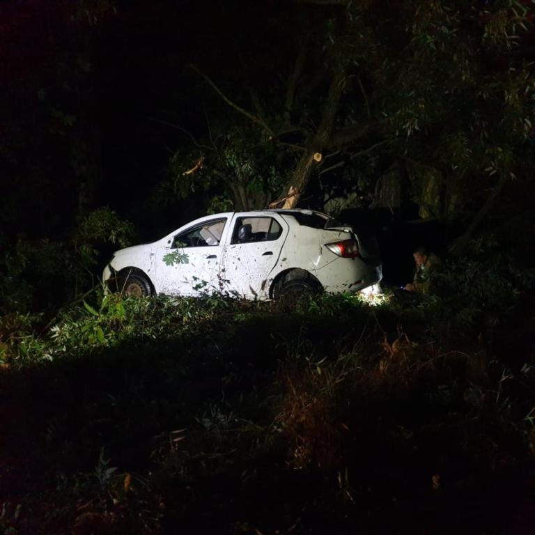 Под Новозыбковом 40-летний водитель на Renault Logan въехал в дерево
