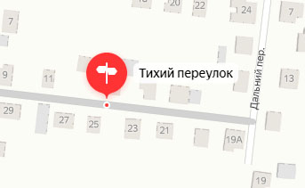 В переулке Тихом в Новозыбкове пьяного водителя задержали инспекторы