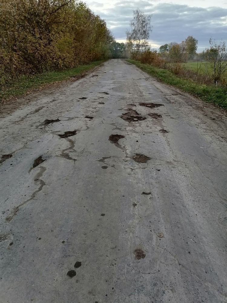 Жители Брянской области запустили дорожный челлендж