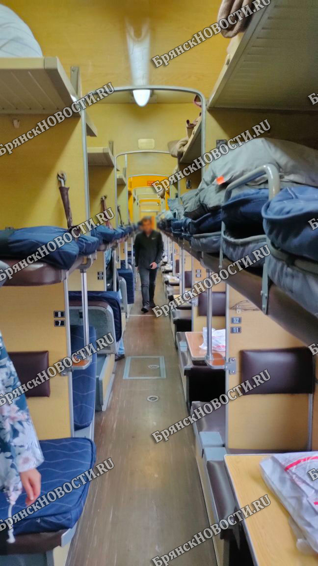 Житель Новозыбкова после поездки в поезде «Климово – Москва» пошел в полицию