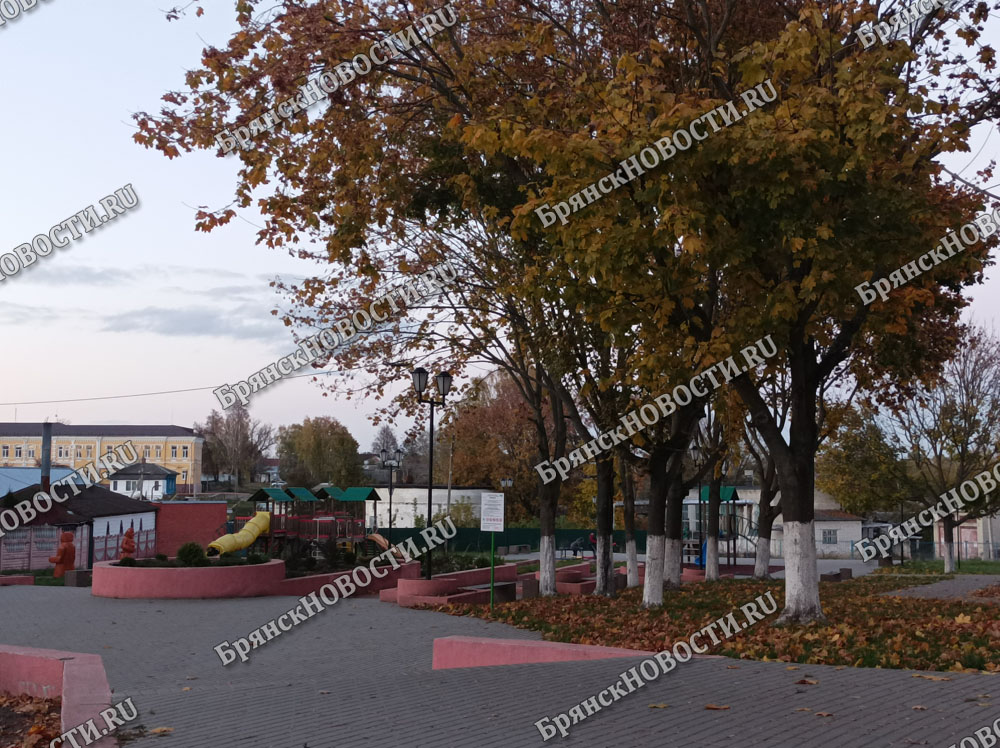 В Новозыбкове должнику удалось избежать оплаты