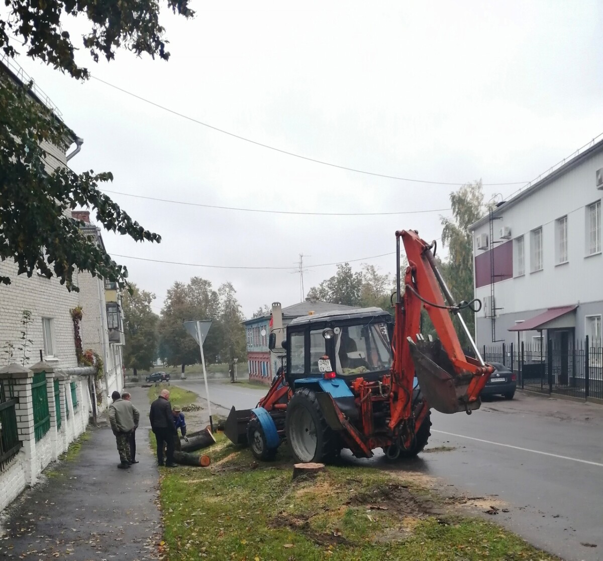 Коронированные деревья в Новозыбкове уничтожили без разрешения