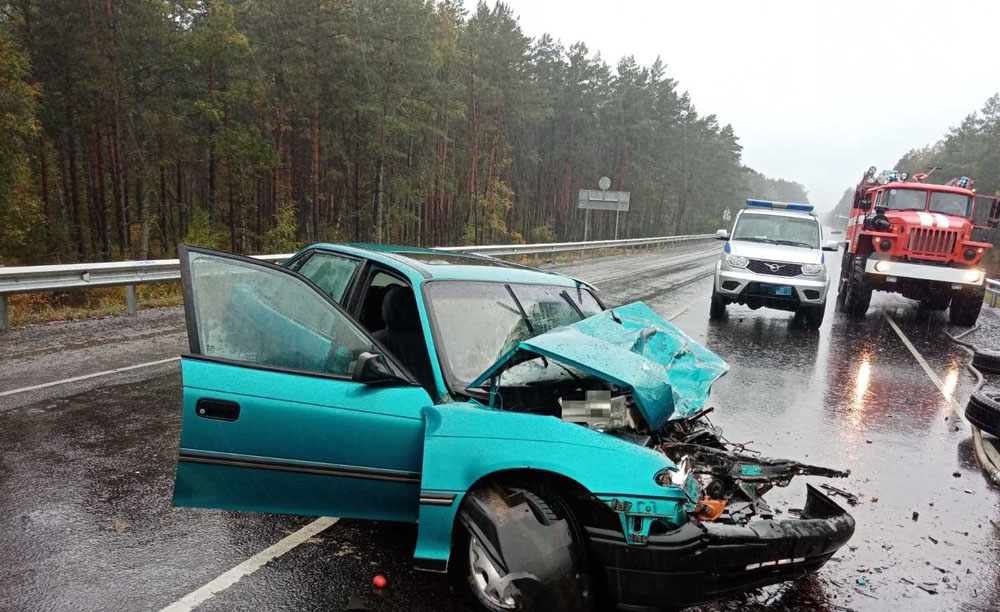 Две легковушки попали в дорожную аварию в Злынковском районе