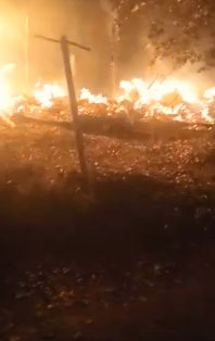 Мощный пожар в Брянске: возле школы сгорел блок сараев