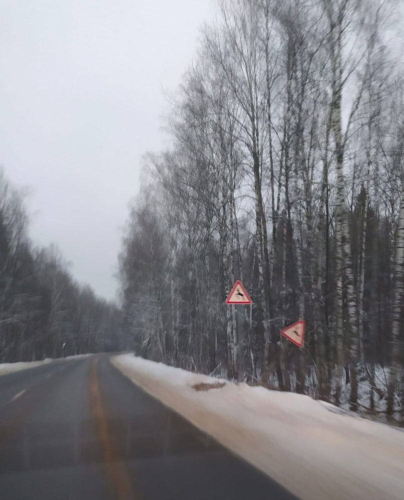 «Олень в прыжке, еще и обочину пометил». Водитель поделился «оптической иллюзией», замеченной на брянской трассе